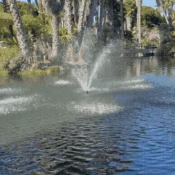 fountain with duck