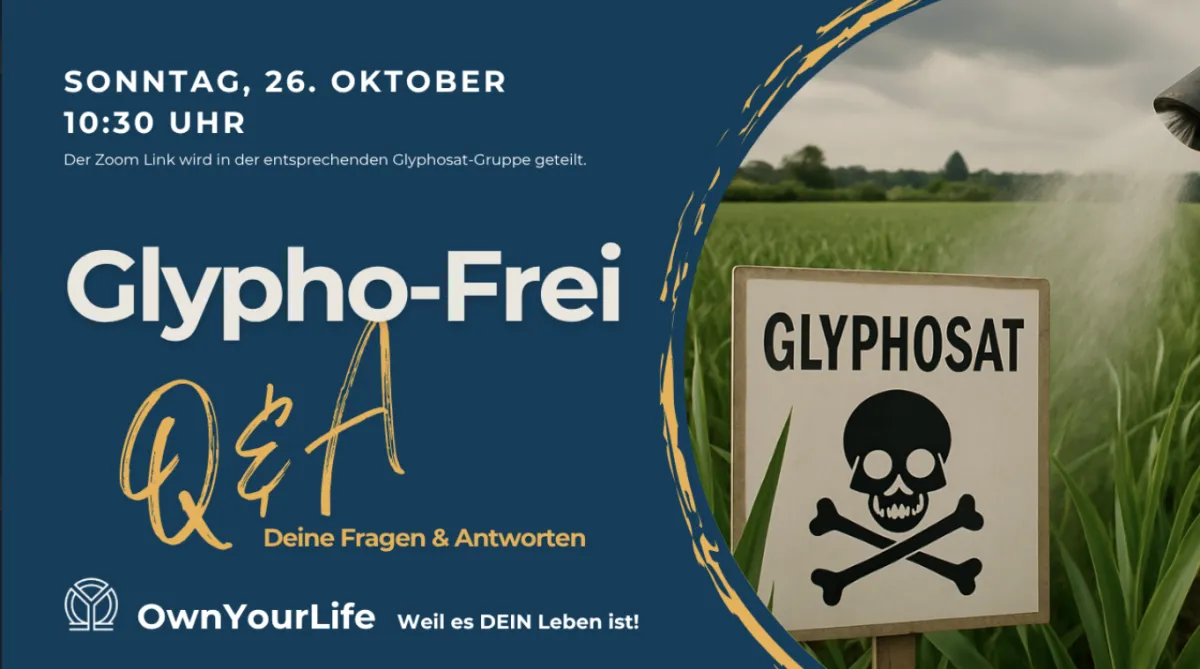 Mutmacher Stories ROOT