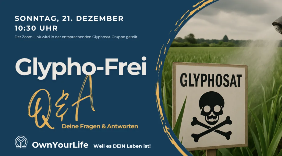 Mutmacher Stories ROOT