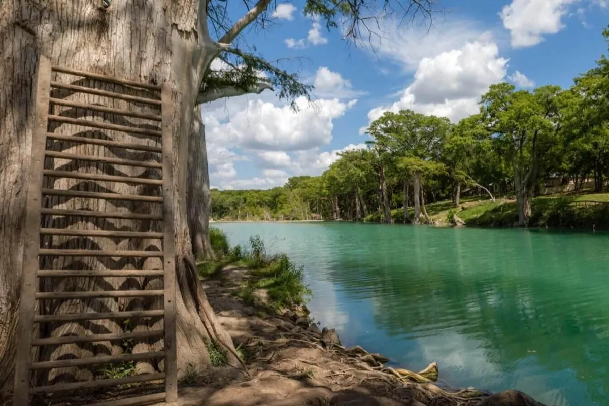 Duck flying out of the Blanco River in Wimberley, Texas