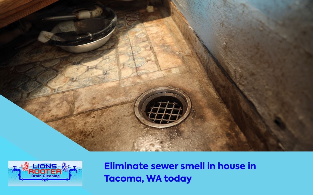 sewer smell in house in Tacoma, WA coming from a kitchen drain