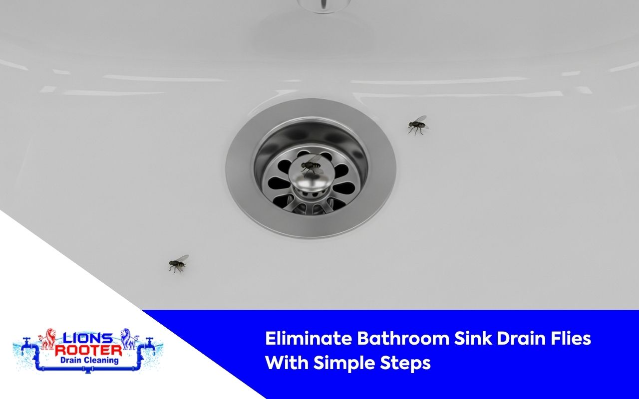 Cleaning a drain to remove bathroom sink drain flies