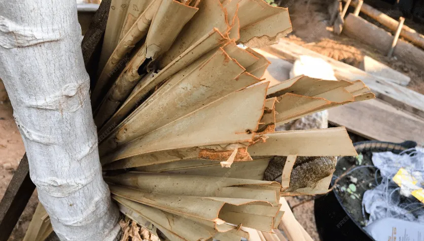 Vestavia Hills Estate Cleanouts