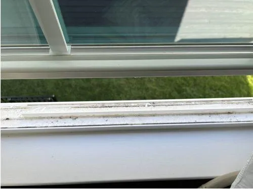 Pressure Washing Charlottesville