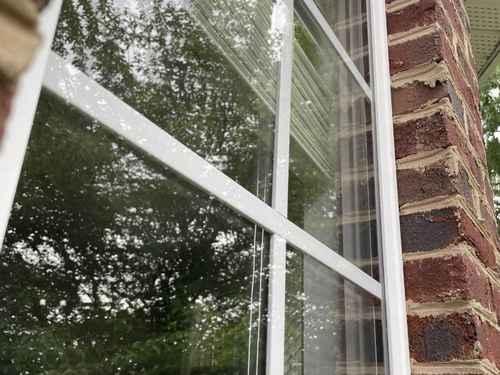 Window Screen Cleaning Charlottesville