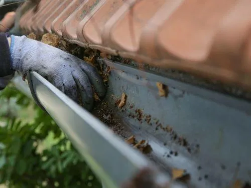 Gutter Cleaning in Charlottesville