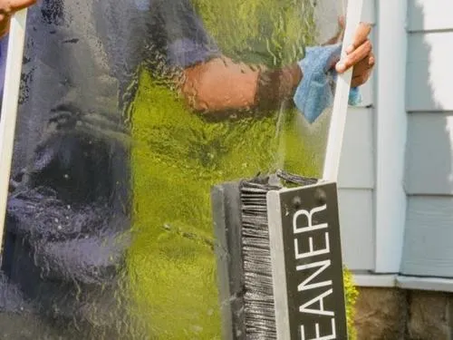 Window Screen Cleaning in Charlottesville