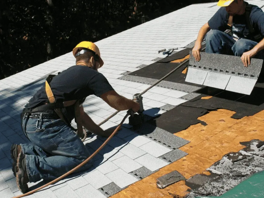Roof Replacement