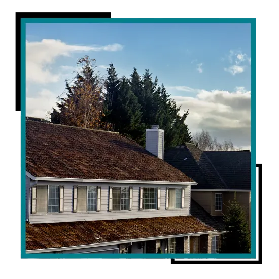 Roof leak repair in Bellevue WA after rain damage