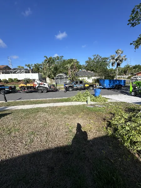 Tree Removal Services