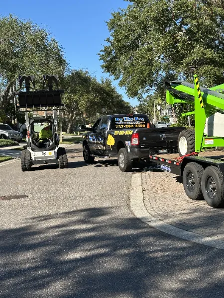 Tree Removal