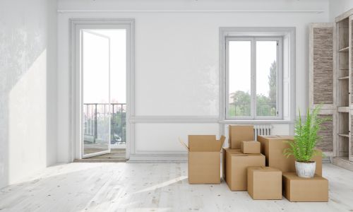 Regular House Cleaning in 