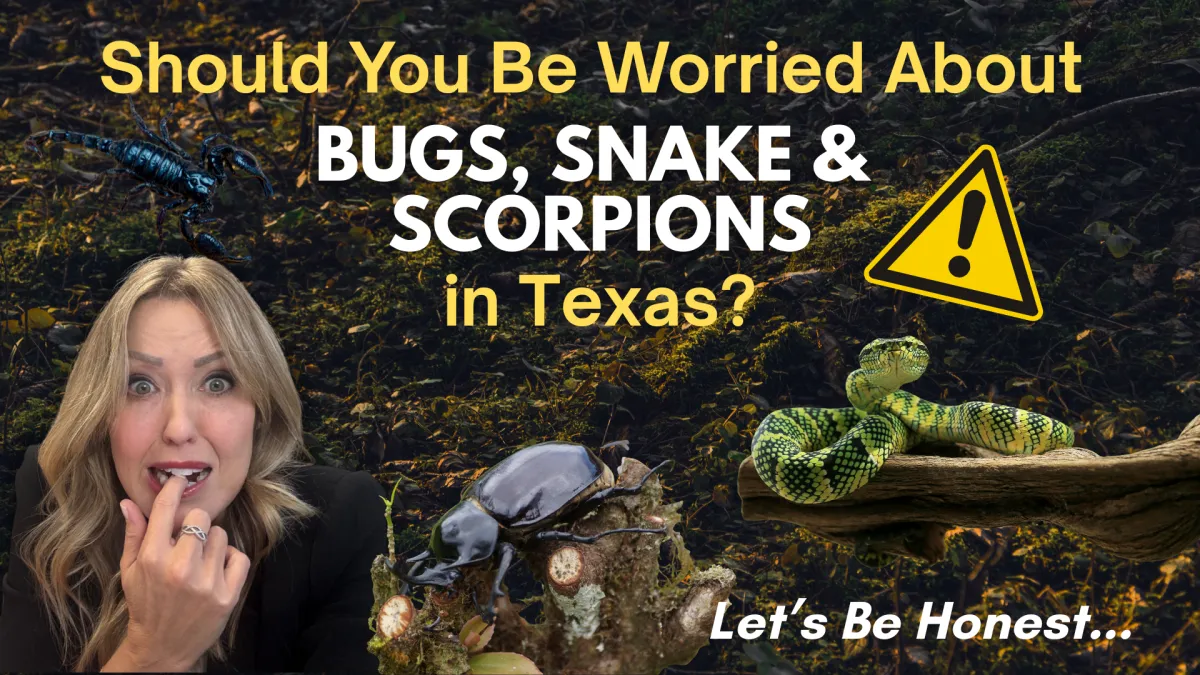 Should You Be Worried About Bugs, Snakes, and Scorpions in Texas? Let's Be Honest guide for Georgetown TX buyers and sellers