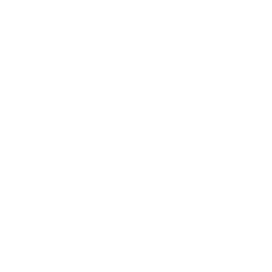 Dollar icon 