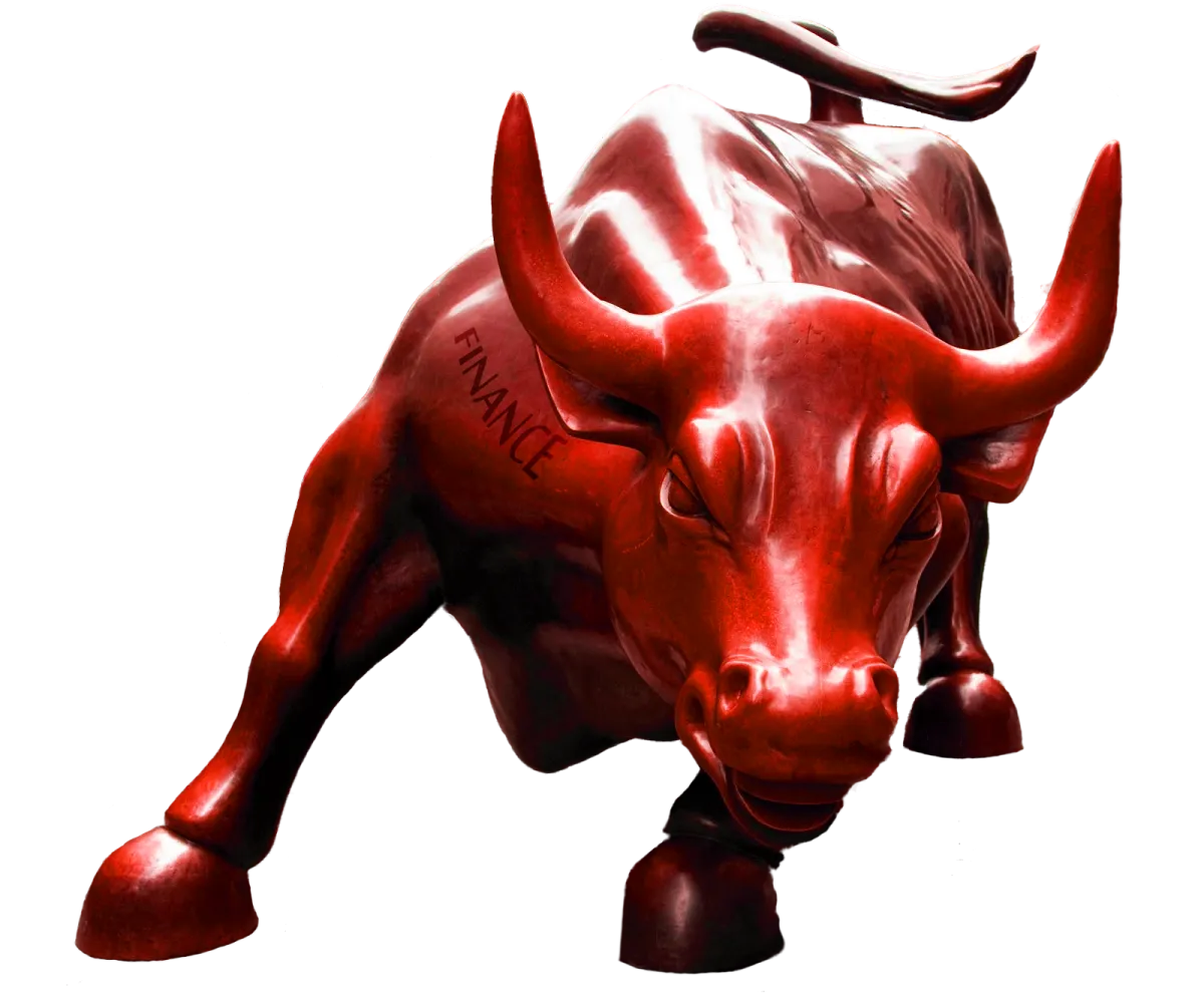 Reddish Bull Finance 