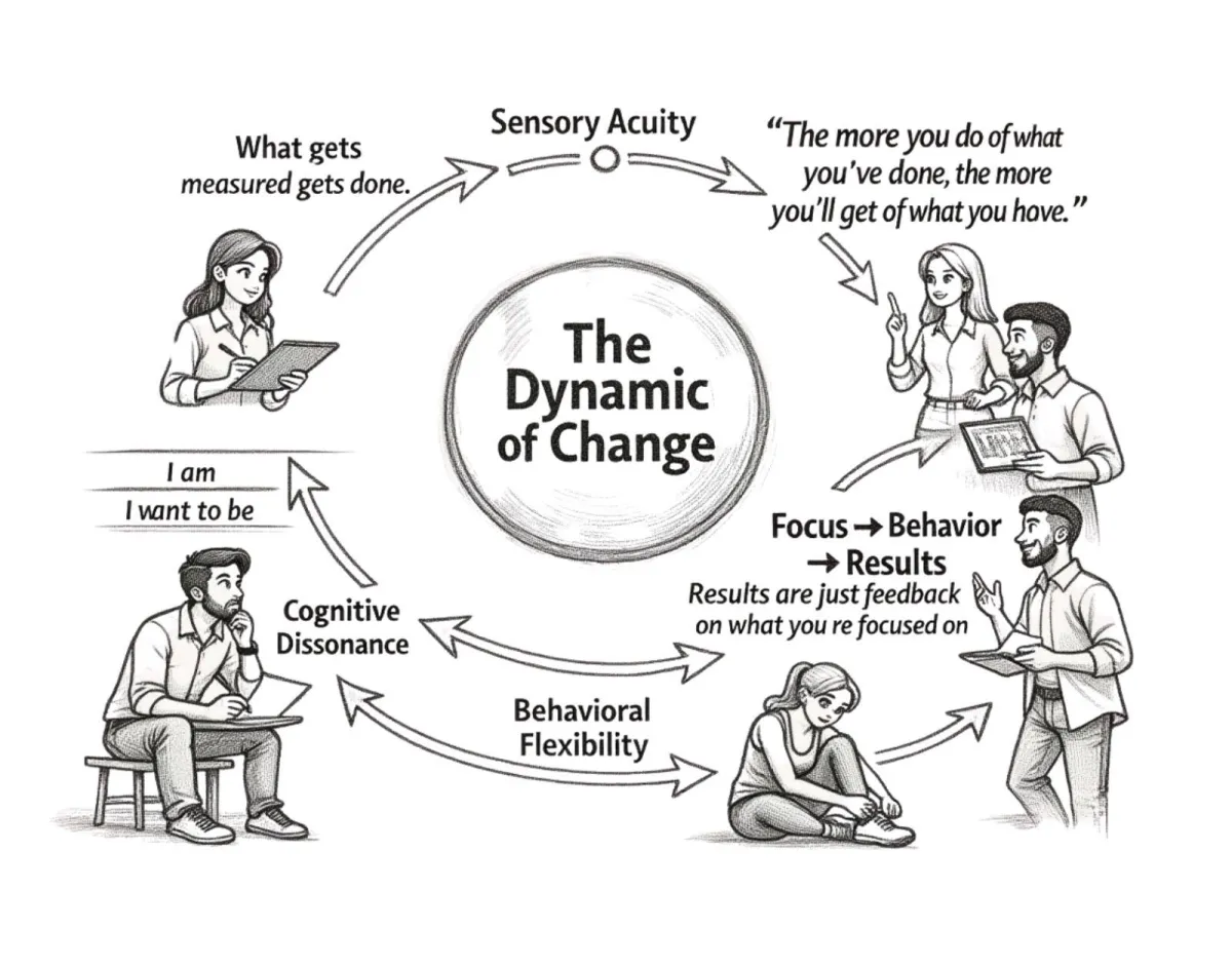 The Dynamic of Change: A Neuroscience-Based System for Real Transformation