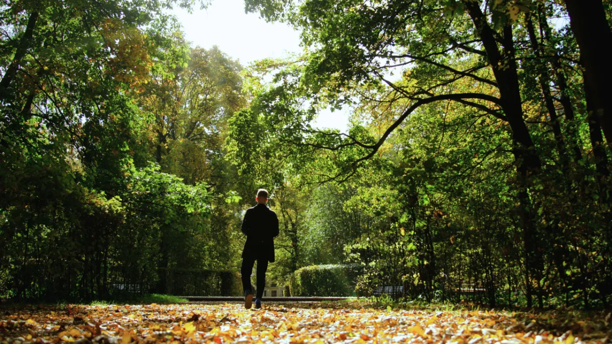 Trauma Is Not the Memory - It’s the Charge. A Neurobiological Model of Affective Memory and Nervous System Activation