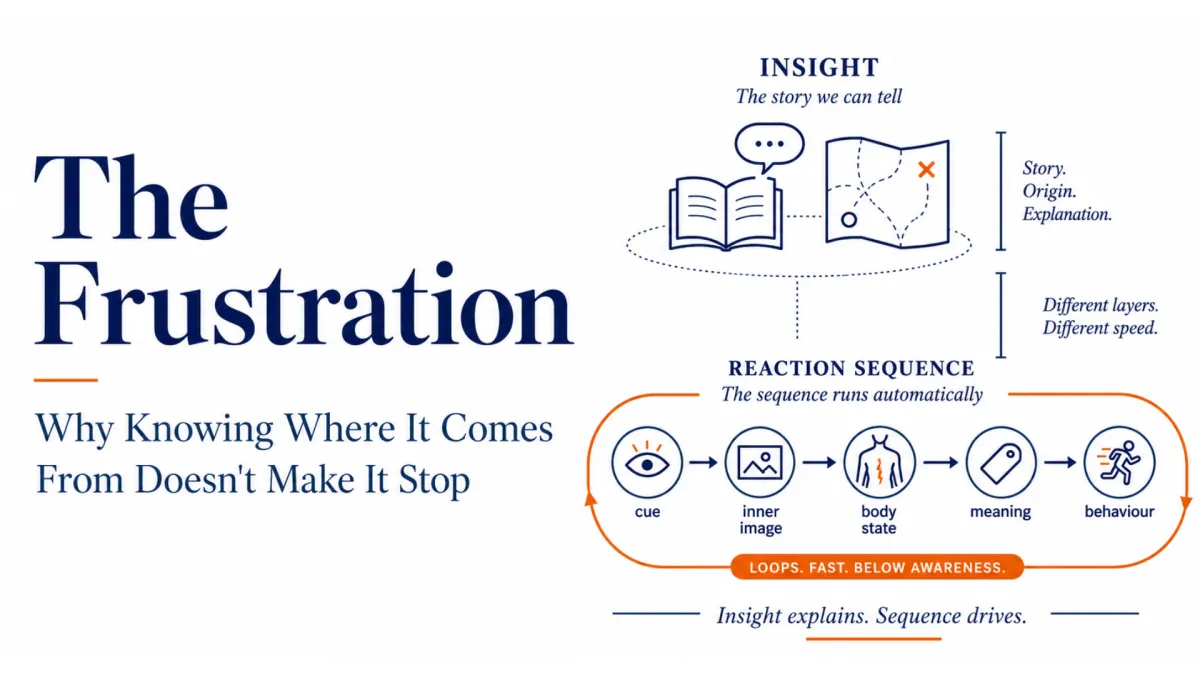 The Frustration - Why Knowing Where It Comes From Doesn't Make It Stop