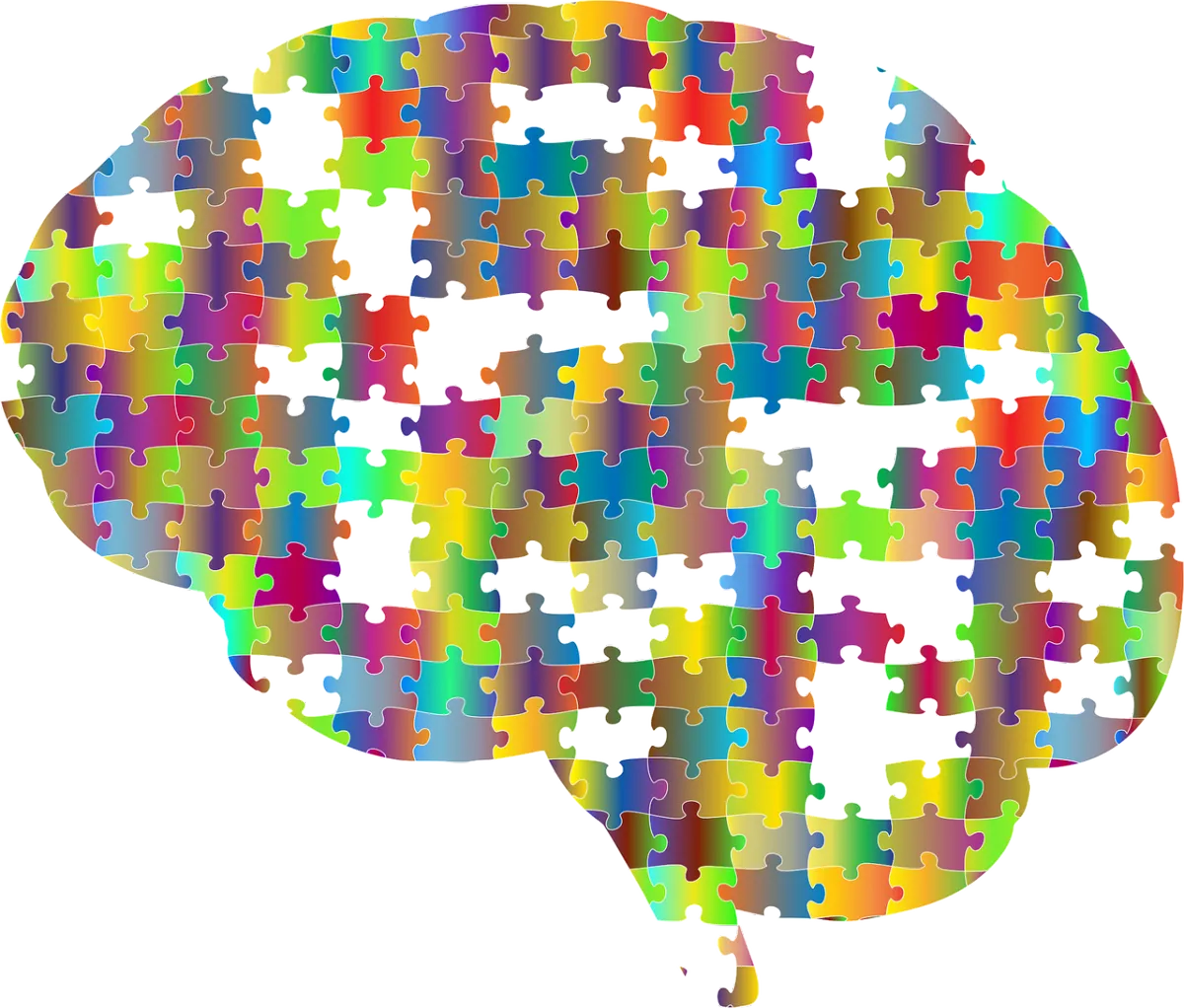 NEUROSCIENCE NLP TRAUMA