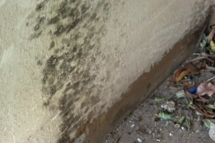 Mold and indoor air quality inspection in Queen Creek Arizona showing visible moisture damage and suspected microbial growth on exterior wall surface