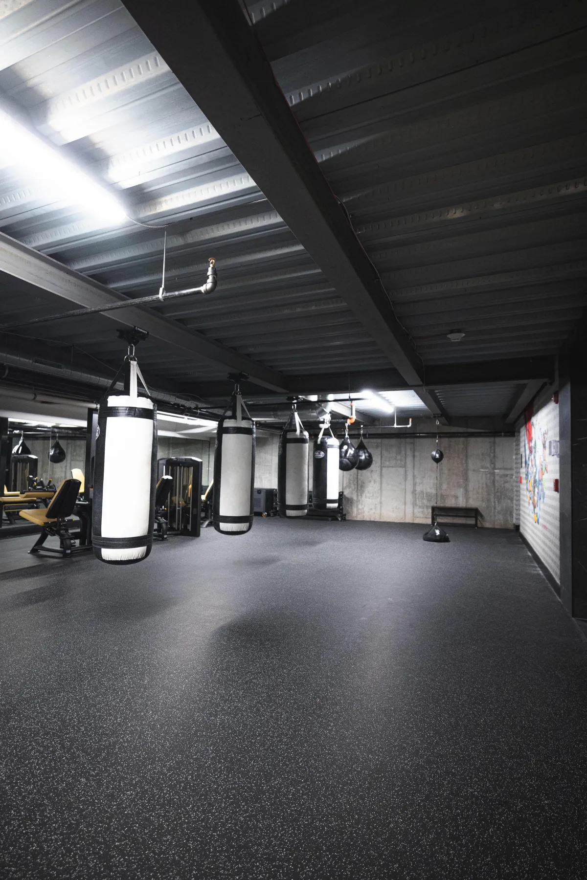 Boxing Area