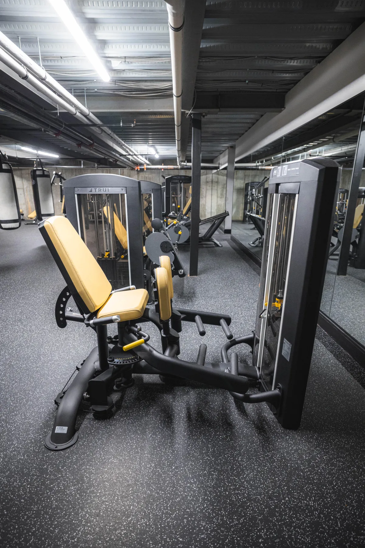 Gym Machines