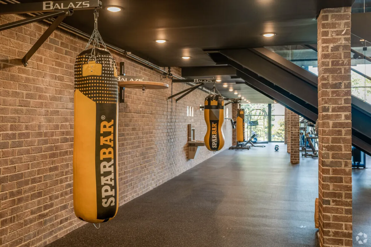picture of boxing heavy bags