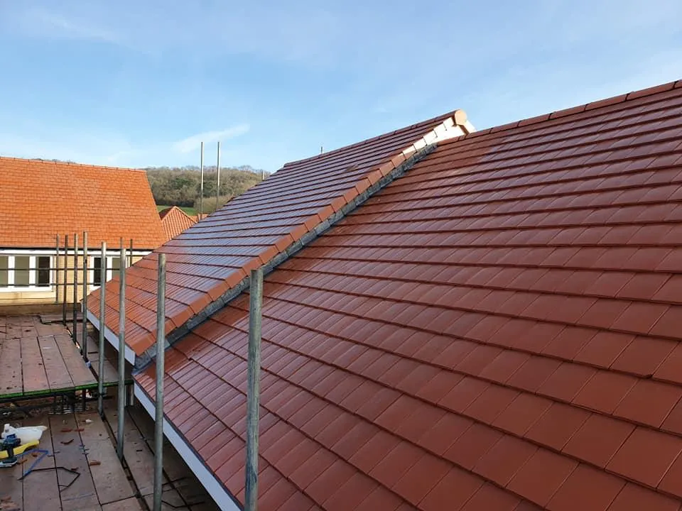 A close up of a roof with a tree in the background