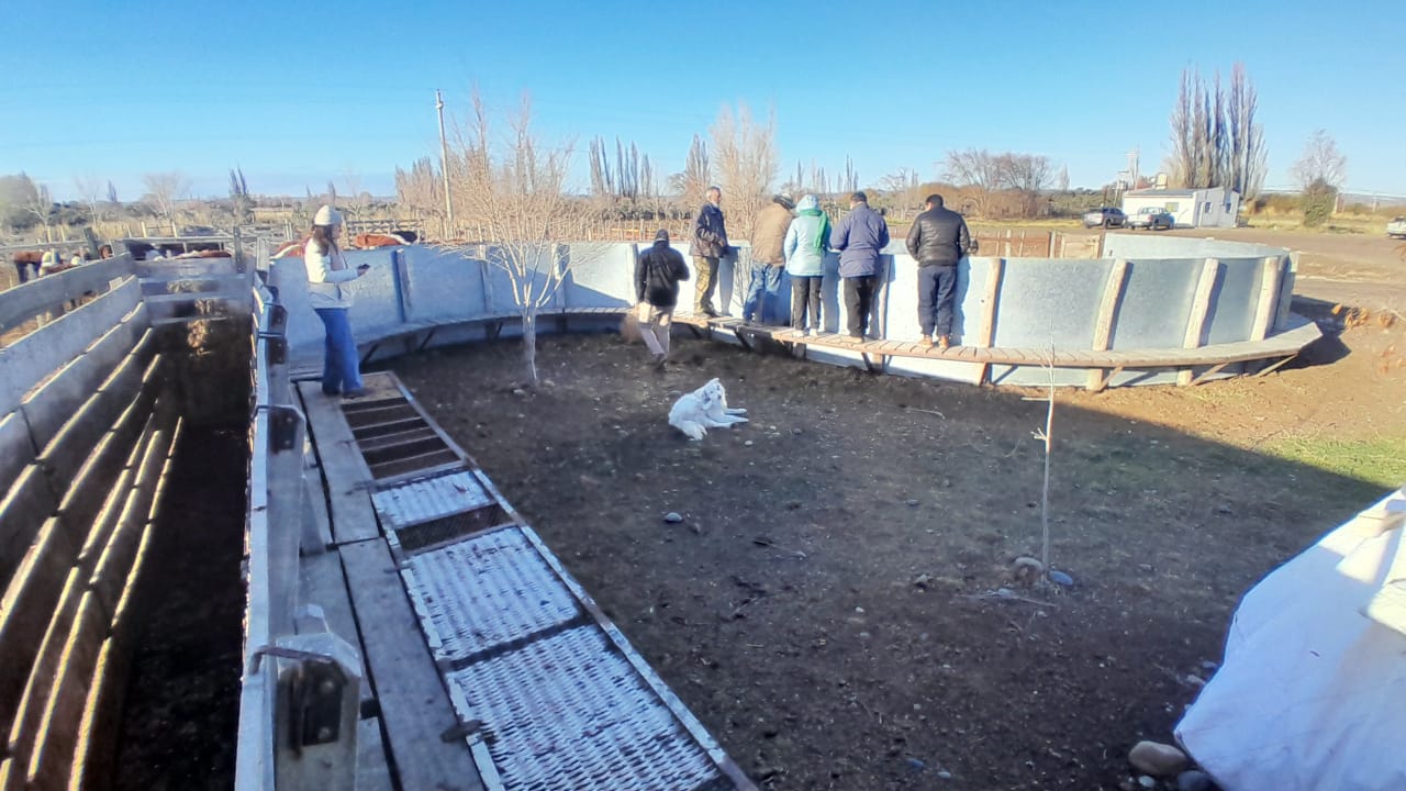 Productores en el Valle