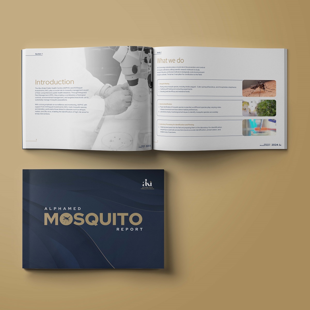 Banding-Portfolio-Blossom-Web-Studio-Digital-Agency 