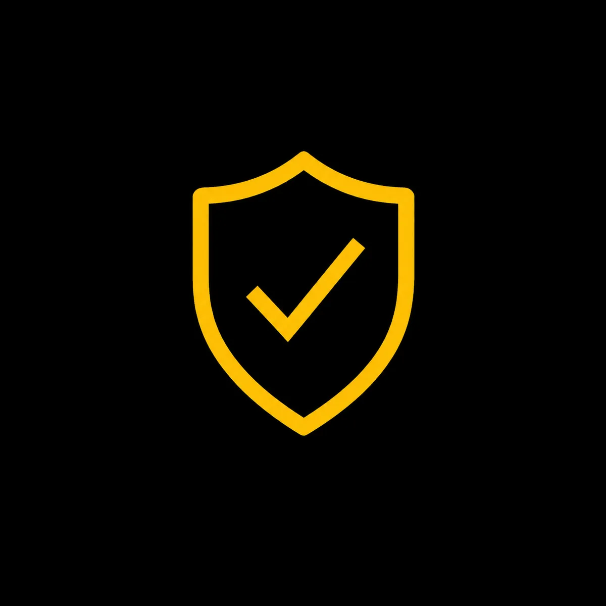 Premium vehicle protection with professional-grade products