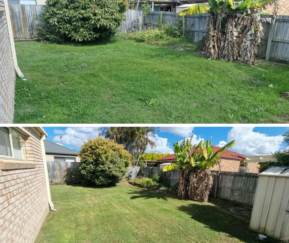 Lawn Mowing Springfield