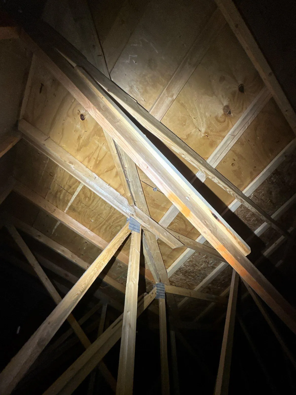 sagging roof and trusses 