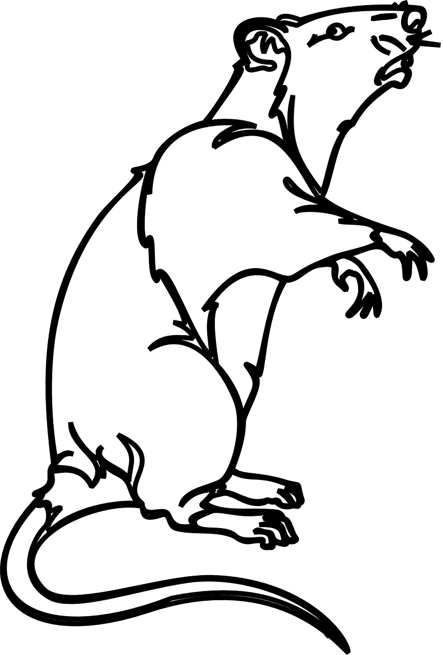 rodent control