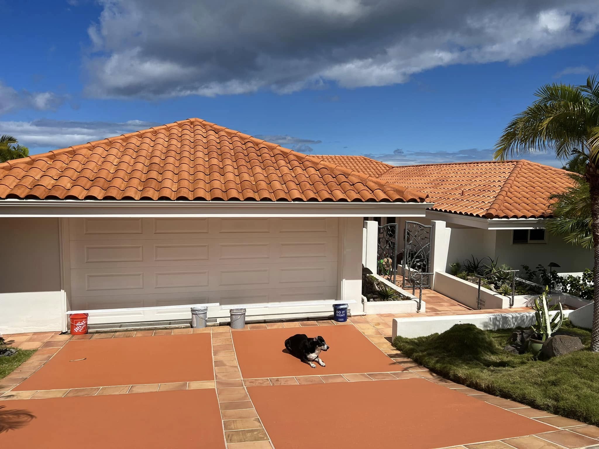 Gibco Maui project work