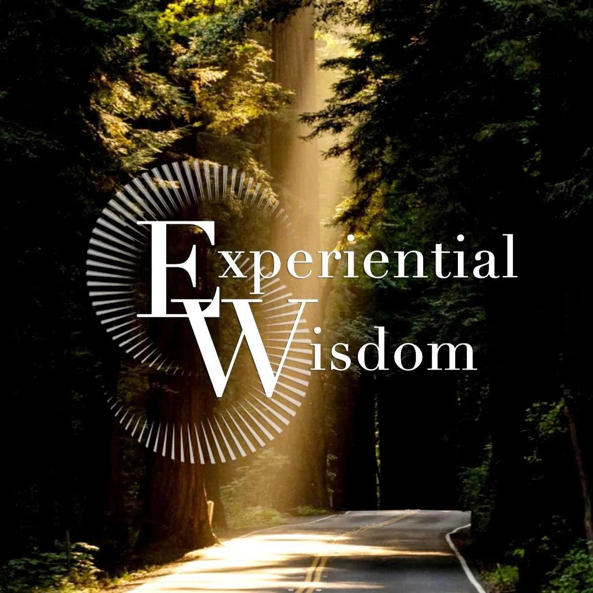 Experiential Wisdom Teachings