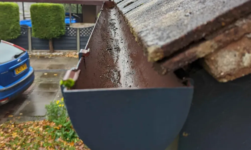 Gutter Cleaning and Clearing