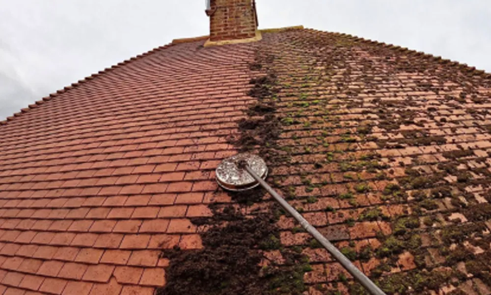 Roof Cleaning