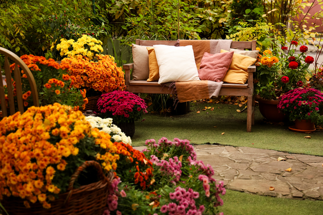 Transform Your Backyard Into a Garden Retreat