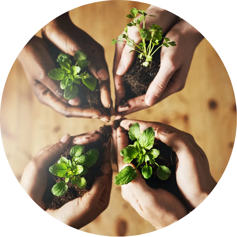 Medical Multi-Disciplinary Teams (MDTs) refers to a team of clinicians of different specialisations working together to develop and deliver an optimal healthcare plan as a concerted unit.