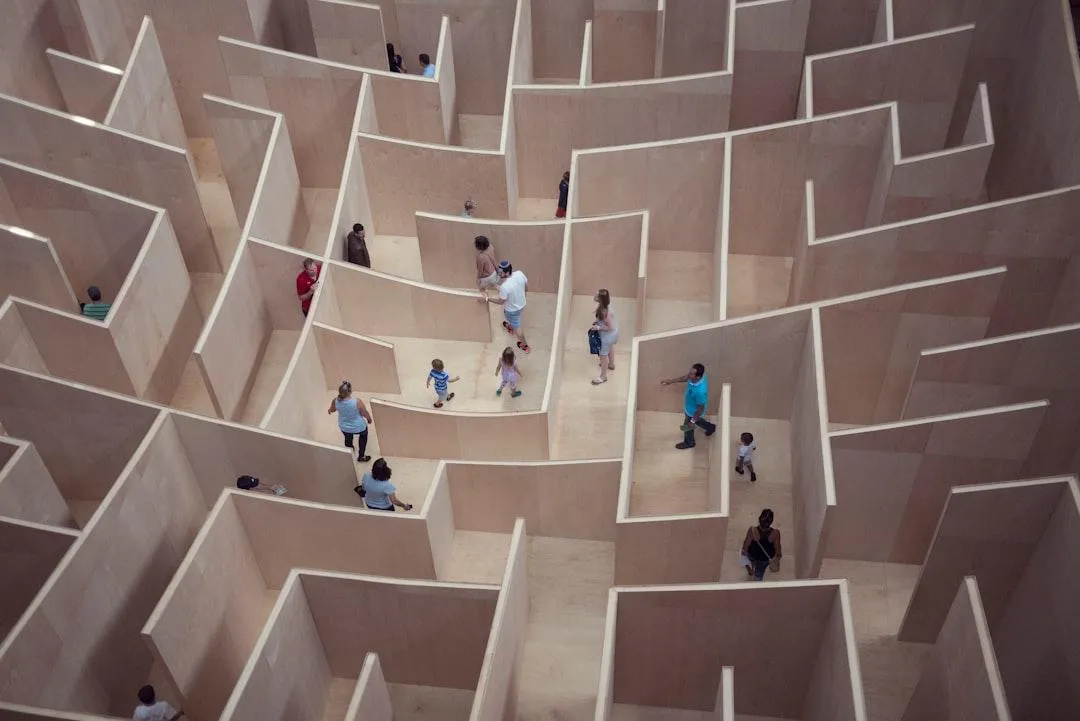 people in a maze