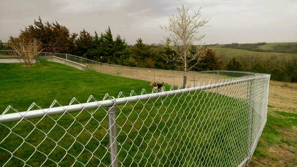 chain link fence in elk grove ca