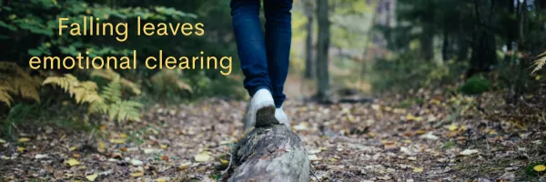 Seven steps for emotional clearing