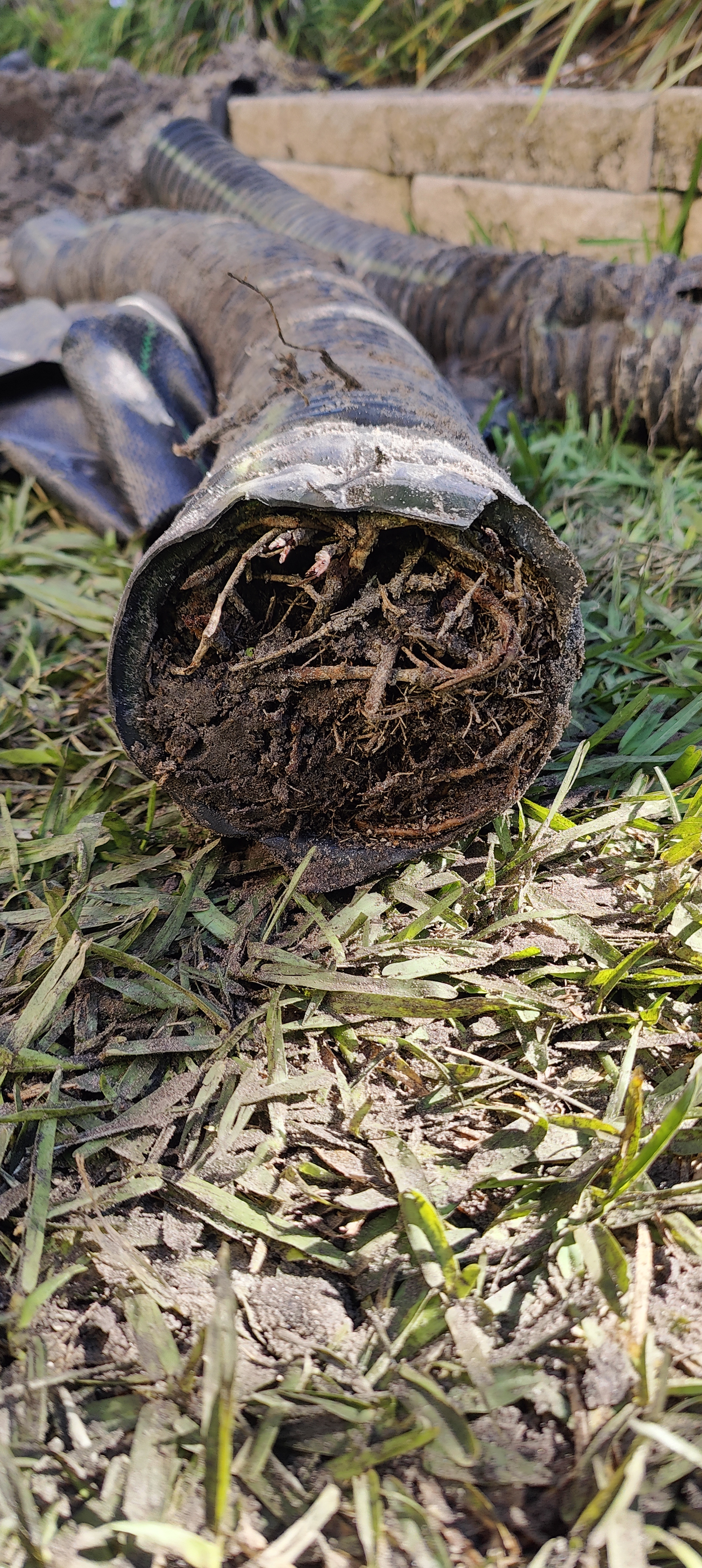 Roots and Gravel: How Cheap Drainage Pipe Fails