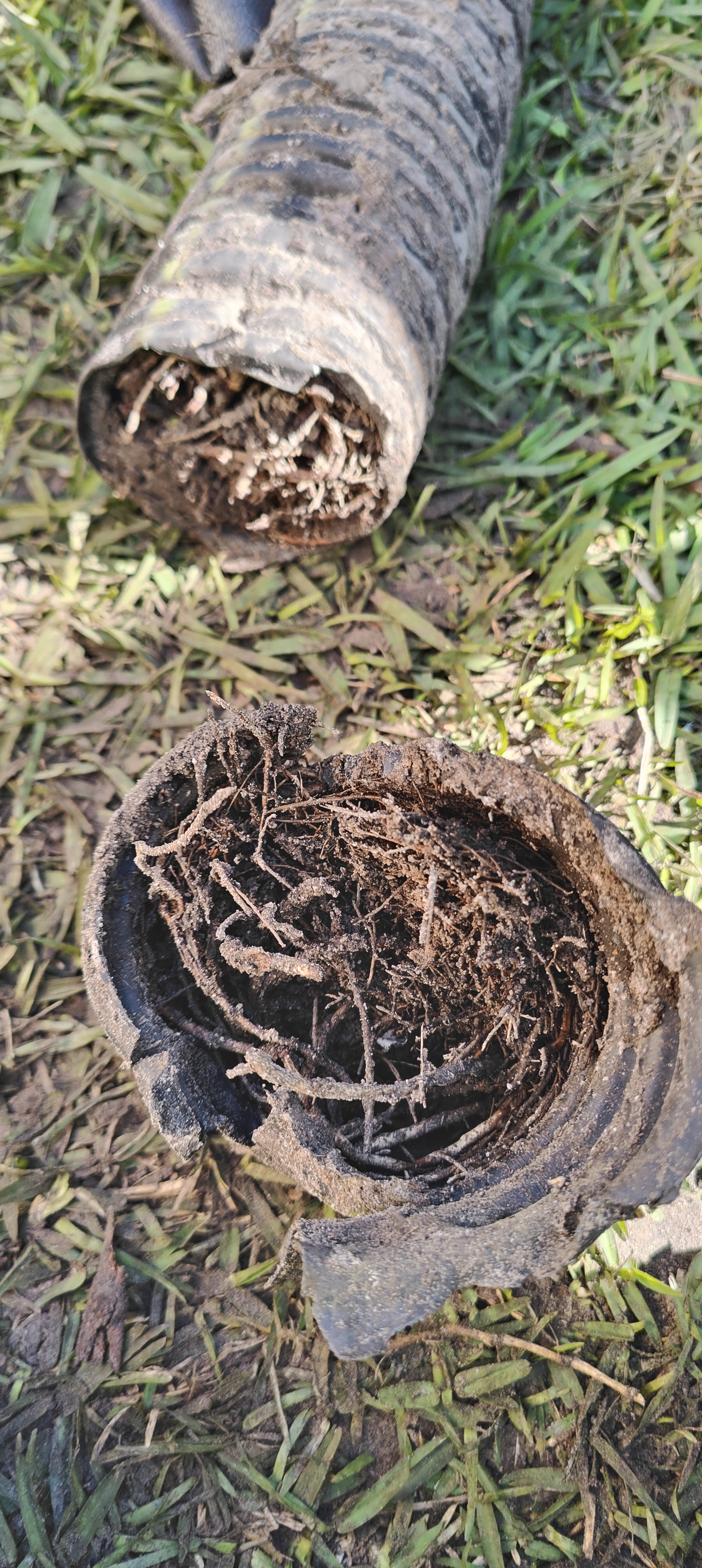 What We Pull Out of Failed Drainage Lines