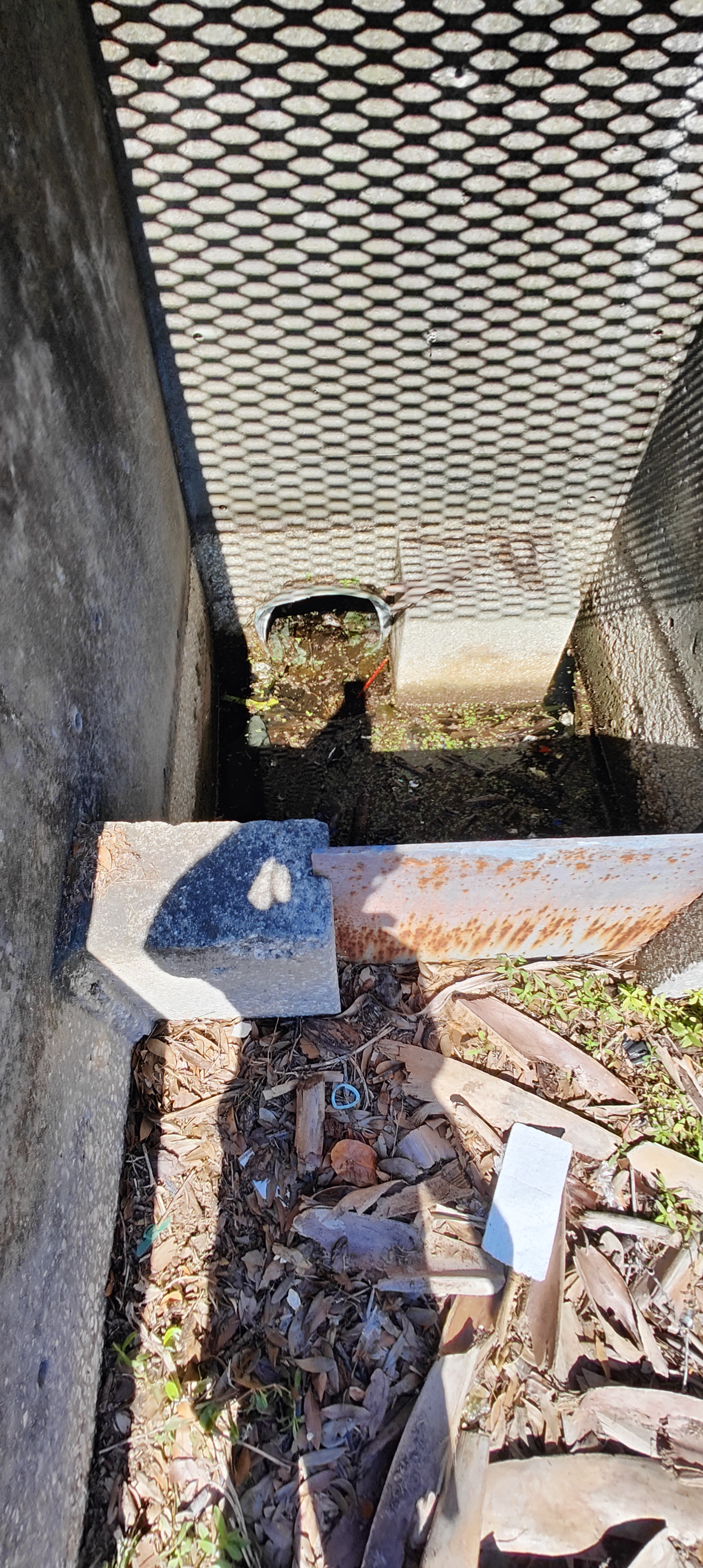 A Packed Commercial Overflow Basin Before the Storm