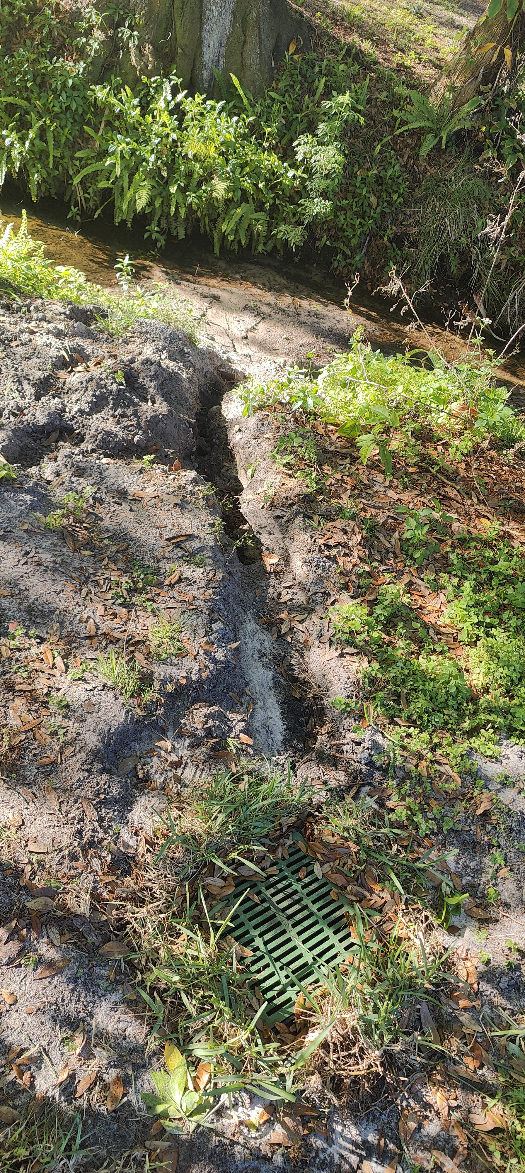 What a Bad Drainage Outlet Does to Your Yard Over Time