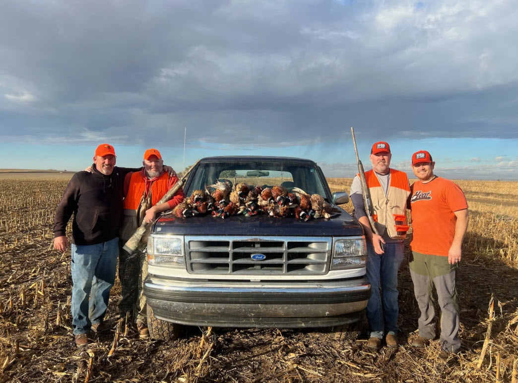 pheasants galore at Heartland Gamebirds