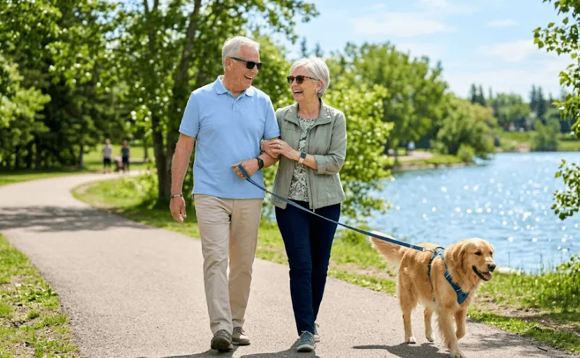 A happy, active senior couple wearing protective sunglasses walking their golden retriever dog along a sunlit, paved path next to a vibrant blue lake in Sherwood Park, enjoying clear vision and the outdoors.