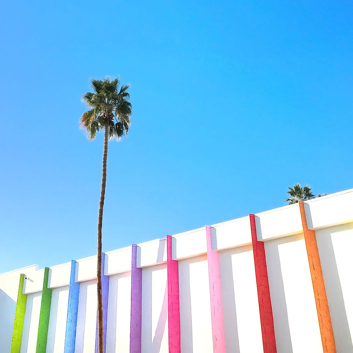A bright, colourful exterior wall with multicoloured vertical stripes and a tall palm tree against a clear blue sky — used to illustrate a Sheldon Social article on strategic content and consistent online visibility.